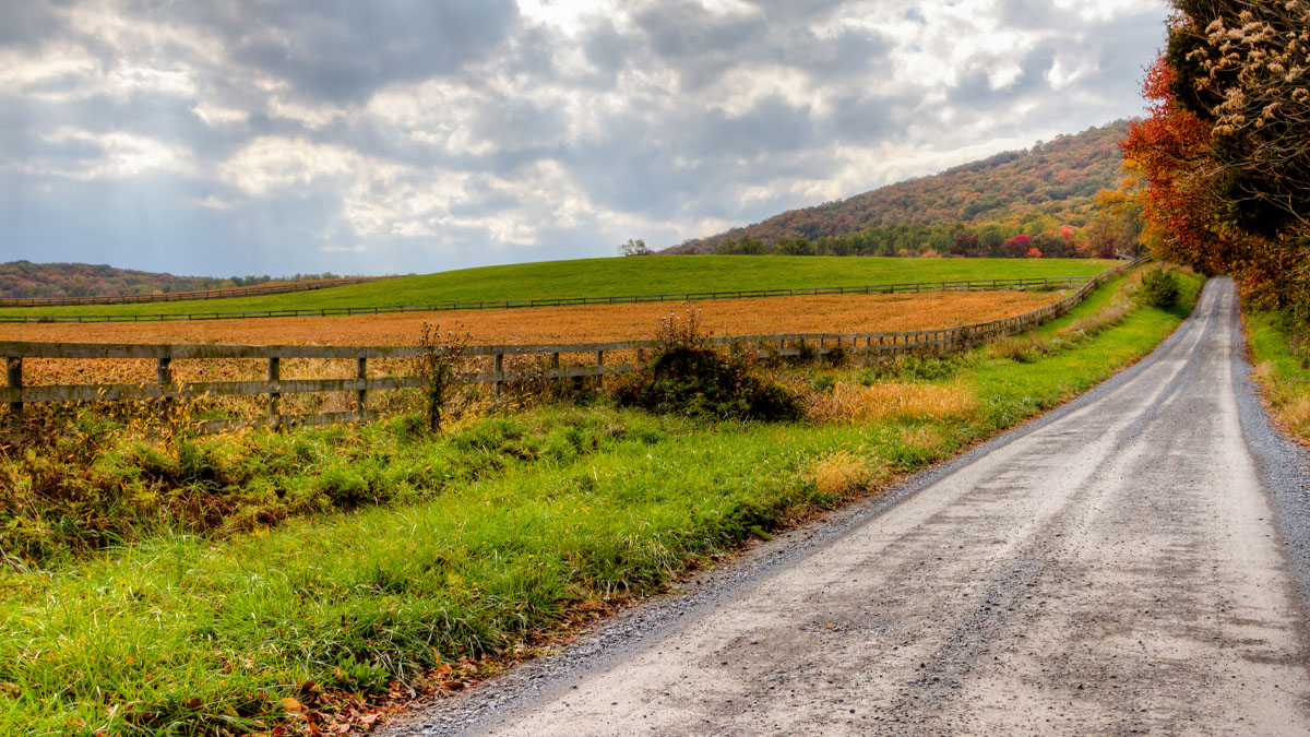 A road and field in West Virginia