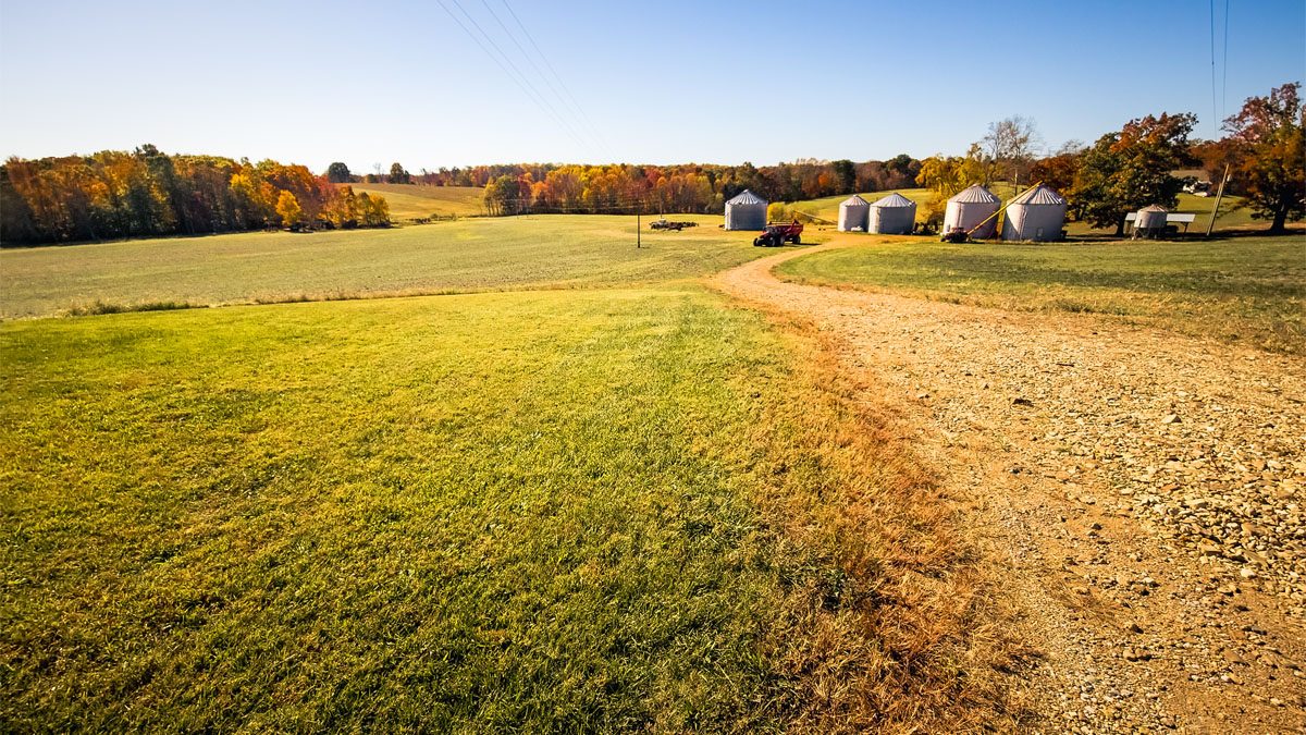A field in Kentucky