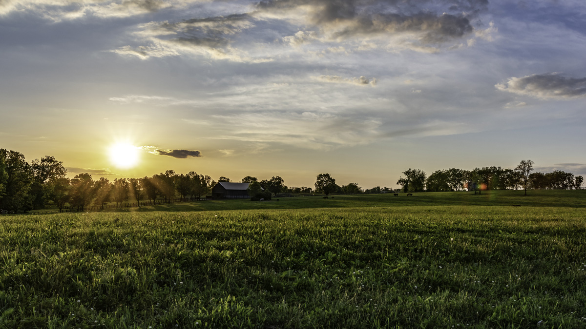 The sun over a field in Kentucky