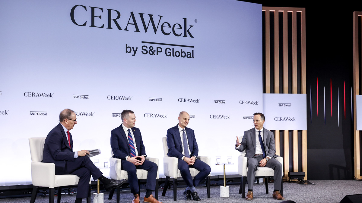 Panel on Interconnecting America