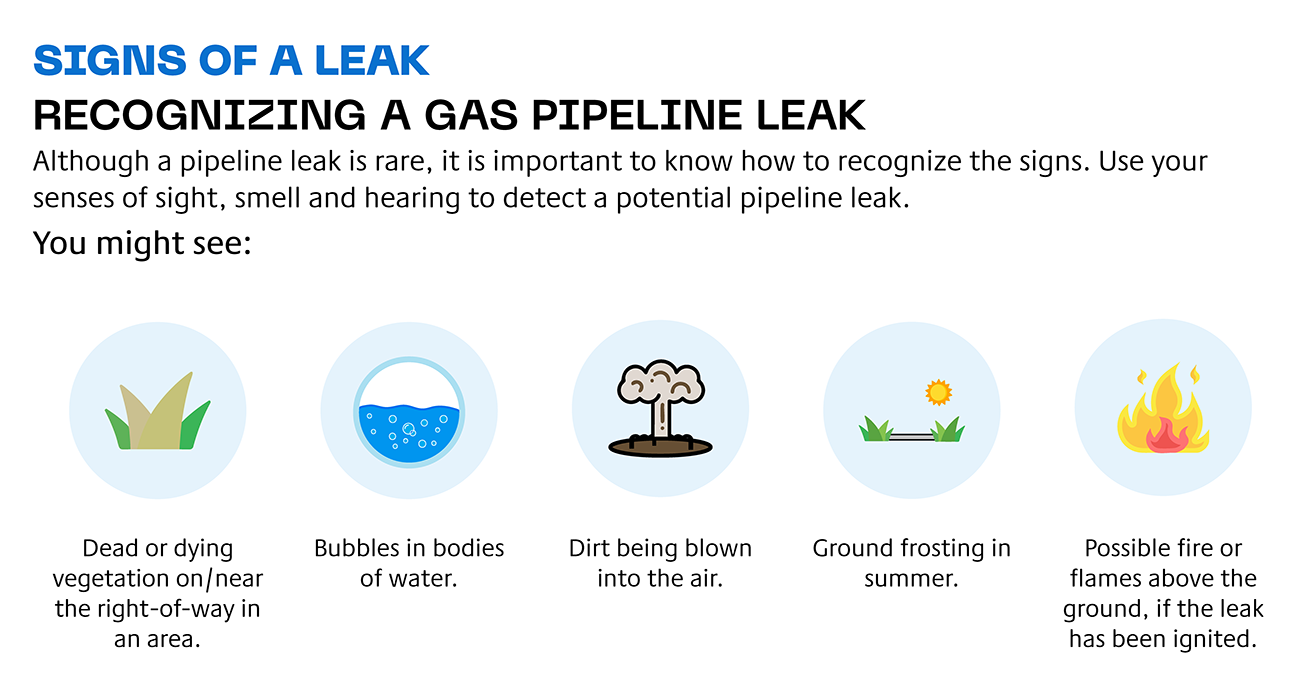 Recognizing a leak infographic